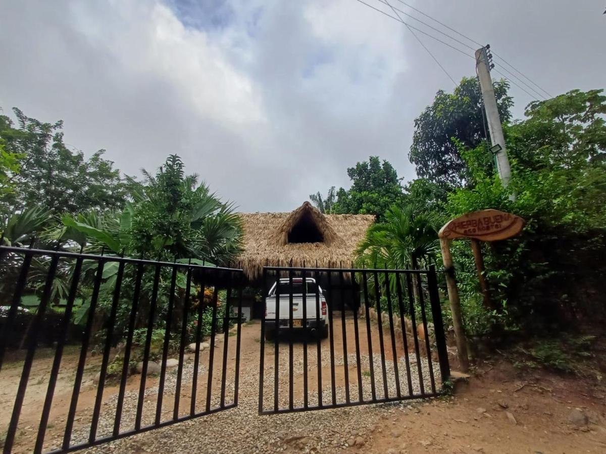 Hierba Buena Eco Hostel エル・ザイノ エクステリア 写真