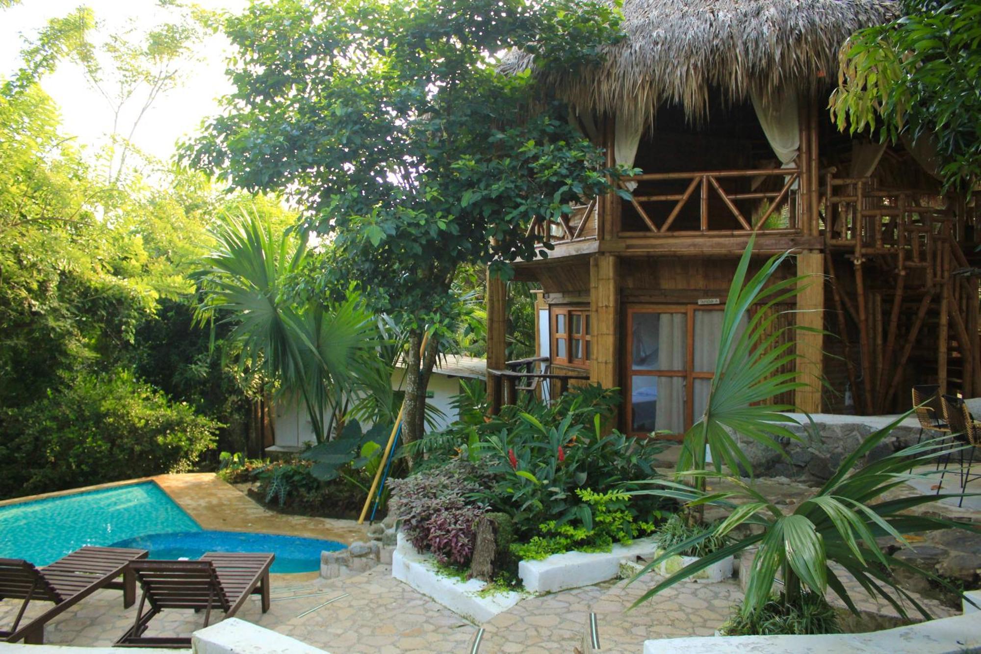 Hierba Buena Eco Hostel エル・ザイノ エクステリア 写真