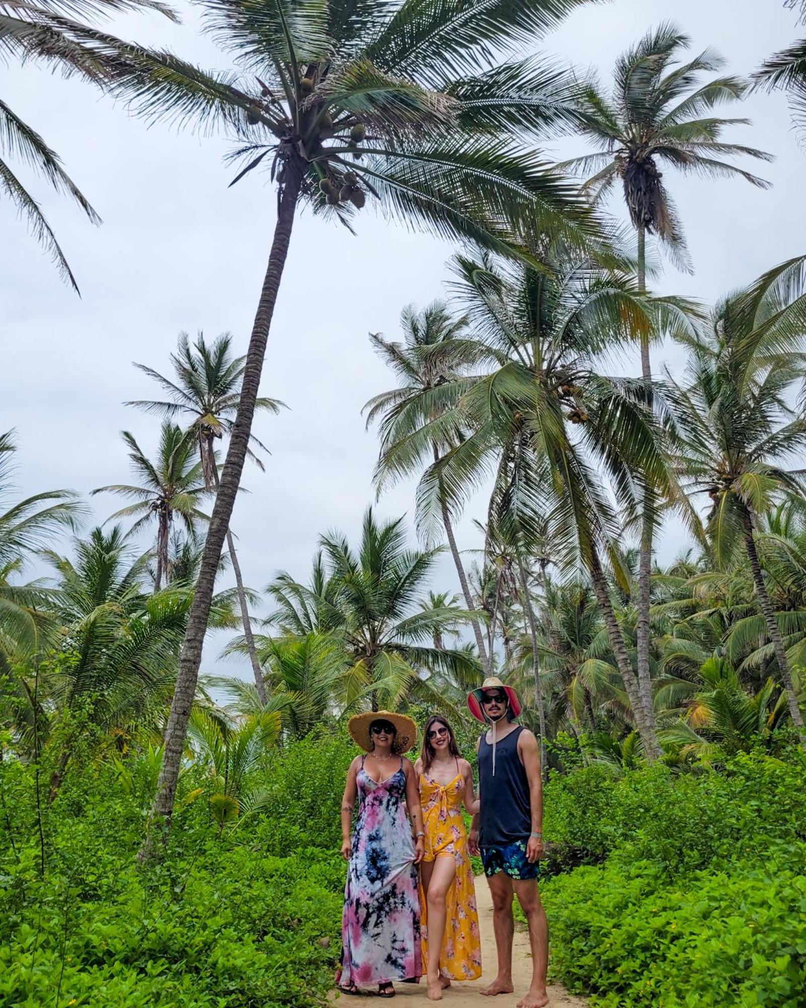 Hierba Buena Eco Hostel エル・ザイノ エクステリア 写真